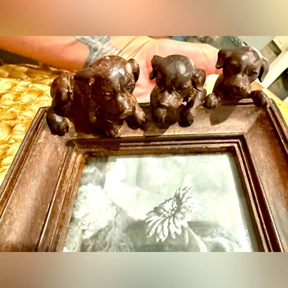 N/A 3d dogs